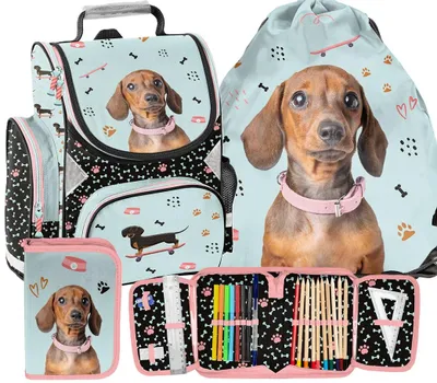 Immagine prodotto di Zaino a forma di cucciolo in 3 pezzi, zaino ergonomico per cani, MADCHEN