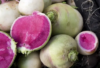 Produktbild von Radieschen, chinesisches "Watermelon" - min. 100 Samen