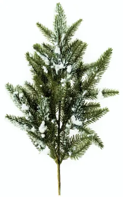 Produktbild von Künstlicher TANNENZWEIG beschneit, glitzernd, ca. 55cm. BESCHNEIT