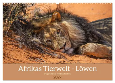 Produktbild von Afrikas Tierwelt - Löwen (Wandkalender 2027 DIN A2 quer), CALVENDO Monatskalender