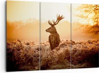 Produktbild von Bild auf Leinwand - Leinwandbild - Hirsch Natur Feld - 105x70cm - Wand Bild - Wanddeko - Wandbilder - Leinwanddruck - Bilder - Kunstdruck - Wanddekoration - Leinwand bilder - Wandkunst - CE105x70-3632