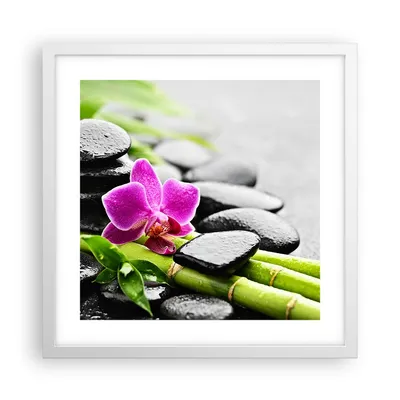 Produktbild von Gerahmtes Poster - Weißer Rahmen - Pflanze Steine Bambus Spa - 40x40 cm - Wand Bild - Wanddeko - Wandbilder - Kunstposter - Wandposter - Bilderrahmen - Bilder - Kunstdruck - Wandbild - P2WAC40x40-2681