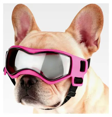 Produktbild von Hundebrille mit UV-, Wind- und Nebelschutz für Junghunde | Für Aktivitäten wie Motorradfahren, Wandern, Strandausflüge und Reisen