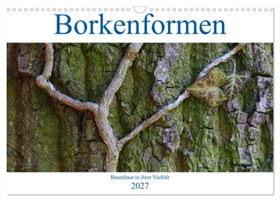 Produktbild von Borkenformen (Wandkalender 2027 DIN A3 quer), CALVENDO Monatskalender