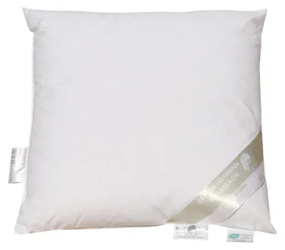Produktbild von Betten Hofmann Kopfkissen 50x50 cm 200 g neue Daunen Daunenkissen Nackenkissen