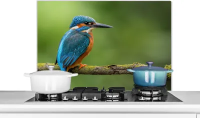 Produktbild von KitchenYeah®  Spritzschutz Küche - Küchenrückwand - Wandschutz für Herd und Spüle - Eisvogel - Zweig - Moos - Vogel - Grün 80x55 - Alu-Dibond (Alternative zum Spritzschutz aus Glas) - Hitzebeständig -