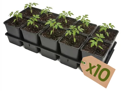 Image de Garronda, plateau de semis de 10 alveoles pour pots de culture en serre (plateau de semis avec 10 pots de 1,25 L) GD-KW-T