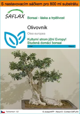 Obrázek produktu pro SAFLAX Garden in the bag - olivovník - Olea europea - 20 Semena - S pěstebním substrátem v praktickém samovztyčovacím sáčku