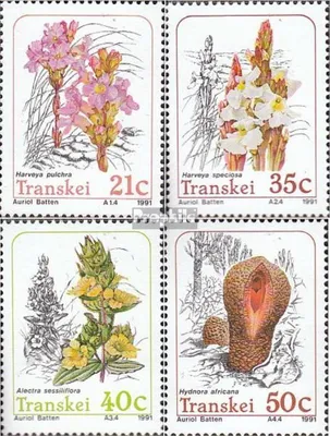 Produktbild von Briefmarken Südafrika - Transkei 1991 Mi 263-266 (kompl.Ausg.) gestempelt Parasitäre Pflanzen