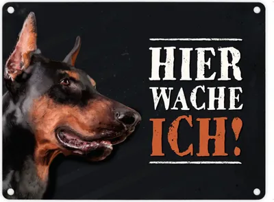 Produktbild von Metallschild mit Dobermann Motiv und Spruch: Hier wache ich! Metallschild