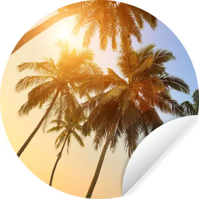 Produktbild von MuchoWow® Runde Wandtattoo - Wandsticker Tapete Aufkleber Palme - Sonne - Sommer - Tropisch Ø 50 cm Selbstklebend und Repositionierbar - Wandaufkleber - Kreis - Wand Kreis - Wand Bild - Foto Tapete - Selbstklebende - Wohnzimmerdekoration - Wand Dekoration - Kinderzimmer