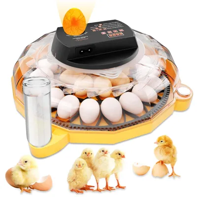 Brutapparat für 26 Eier, vollautomatisch, LED-Display