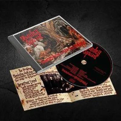 Produktbild von Unsane,Insane and Mentally Deranged (CD)