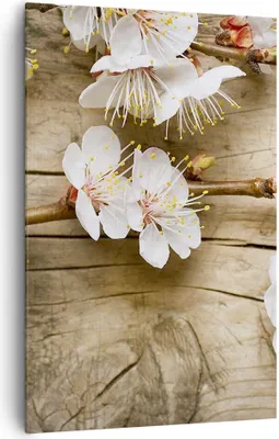 Produktbild von Bild auf Leinwand - Leinwandbild - Einteilig - Blume Stängel - 80x120cm - Wand Bild - Wanddeko - Wandbilder - Leinwanddruck - Kunstdruck - Wanddekoration - Leinwand bilder - Wandbild - PA80x120-3537