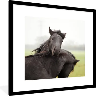 Produktbild von MuchoWow® MuchoWow® Gerahmtes Poster Pferde - Schwarz - Gras 40x40 cm - Poster mit zchwarzem Bilderrahmen - Poster - Plakat im Rahmen