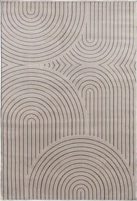 Image de LYN1 TNCIA Tapis de salon, moderne et contemporain ton sur ton
