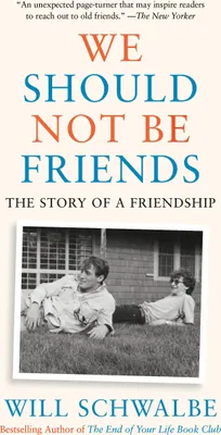 Produktbild von We Should Not Be Friends