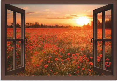 Produktbild von ARTland Wandbild Alu für Innen & Outdoor Fensterblick Mohnblumenfeld - braun Größe: 100x70 cm