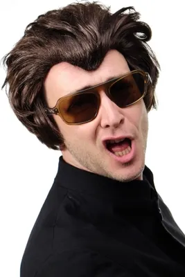Produktbild von WIG ME UP Perücke Rockabilly Horrorpunk Braun Modell: 45874