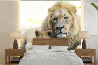 Produktbild von MuchoWow® Fototapete für Wohnzimmer oder Schlafzimmer Wandtapete Vinyl Motivtapete Löwe - Jungtier - Porträt - 300x300 cm - Wanddekoration