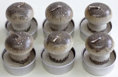 Produktbild von N19076-3020 Teelicht "Pilz" - 6 Stück