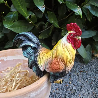 Produktbild von Gartenfigur Hahn Kantensitzer für Blumentopf 8 cm
