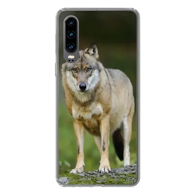 Produktbild von MuchoWow® Handyhülle Schutzhülle Hülle für Huawei P30 Wolf - Asien - Pflanzen Silikon Softcase Handy Hülle - Kartenbesitzer