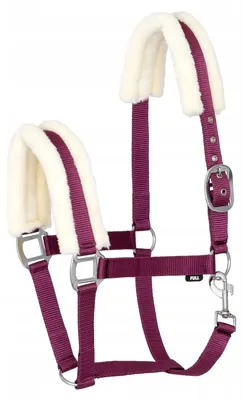 Produktbild von Start MinkPadded Halfter bordeauxrot Pony