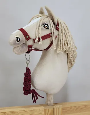 Immagine prodotto di Set Hobby Horse: cavezza A3 + guinzaglio - bordeaux