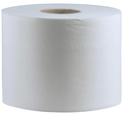 Produktbild von CWS Toilettenpapier Maxi 100
