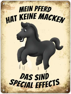 Produktbild von Metallschild XL mit schwarzes Pferd Motiv und Spruch: Mein Pferd hat keine