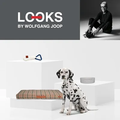 Produktbild von LOOKS by Wolfgang Joop– Liegekissen – cushion plaid XL