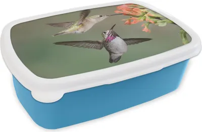 Produktbild von KitchenYeah® Lunchbox Brotzeit Brotdose 17x11 cm Kolibri - Vogel - Blume Kinder Brotzeitdose - Lunch - Kunststoff  - Brotbüchse - Sandwichbox - Lunchbox für Kinder