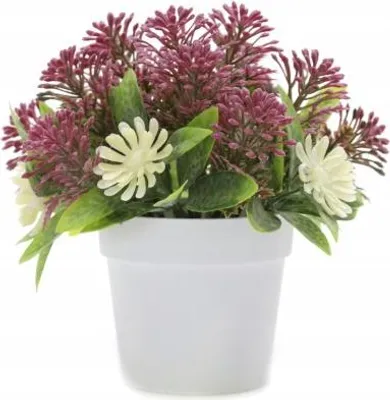 Image de une fleur en pot