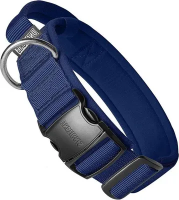 Image de Collier pour chien bleu, taille L, en métal