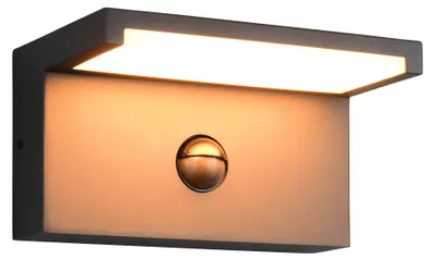 Produktbild von Trio - Wandleuchte RAVI - Anthrazit - 0x0x10 cm