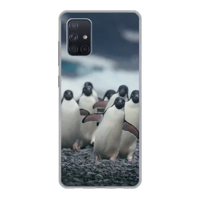 Produktbild von MuchoWow® Handyhülle Schutzhülle Hülle für Samsung Galaxy A51 5G Adeliepinguine am Strand Silikon Softcase Handy Hülle - Abbildung