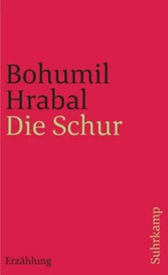 Image de Die Schur