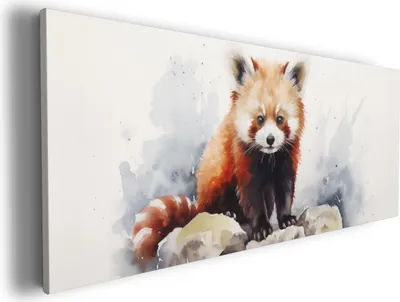 Produktbild von Wallario Premium Leinwandbild Neugieriger Rotpanda in Größe 50 x 125 cm