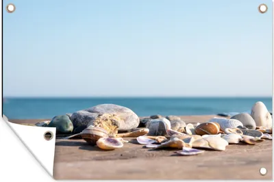 Produktbild von MuchoWow® 60x40 cm Outdoor-Poster Gartendeko Sichtschutz Garten Poster für den Garten  Muscheln - Strand - Meer - Sommer - Sonne