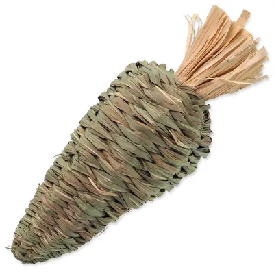 Image de PETITS ANIMAUX jouet carotte 26 cm