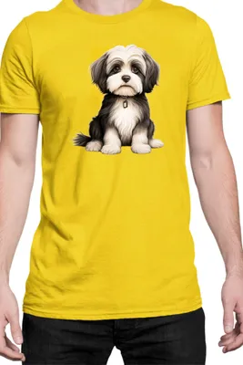 Produktbild von Herren T-Shirt Dogs Breeds Collie Dog Breed 005, Man S / Gelb