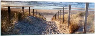 Produktbild von Bilder auf glas - Meer Strand Düne - 160x50cm - Glasbilder - Wandbilder - Kunstdruck - zum Aufhängen bereit - Wanddekoration aus Glas - Glas Bilder - Wandbild auf Glas - Einteilig - GAB160x50-3612
