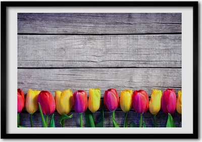 Produktbild von Bild - Bilder - Bilderrahmen - 70 cm x 50 cm - MDF-Rahmen, Wandkunst Tulpen auf Holz