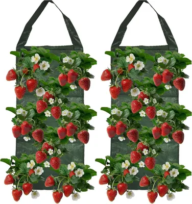 Produktbild von 2 Stück hängende Erdbeer-Pflanzsäcke 25×60cm mit 8 Löchern, atmungsaktive Pflanztaschen aus PE mit Griffen für Balkon, Garten und Terrasse, für Gemüse, Kräuter und Blumen