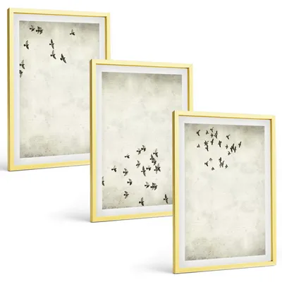 Produktbild von Bilder Set 3-teilig im Goldrahmen Rahmen – Wandbilder 3 Stück – gerahmte Poster für Wohnzimmer, Schlafzimmer und Flur – 40x60 cm – Minimalistische Vogelmalerei