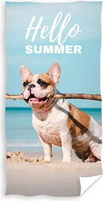 Immagine prodotto di Telo mare Bulldog 70x140