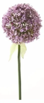 Produktbild von Kunstblume - Zierzwiebel / Allium - lila-violett - Stiel von 70 cm