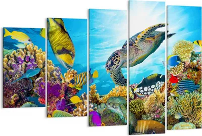 Produktbild von Bild auf Leinwand - Leinwandbild - Riff Koralle Fisch - 150x100cm - Wand Bild - Wanddeko - Leinwanddruck - Bilder - Kunstdruck - Wanddekoration - Leinwand bilder - Wandkunst - EG150x100-3704