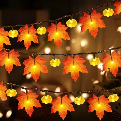 Herbst-Lichterkette, 3 m, 20 LED, Kürbis & Ahornblatt